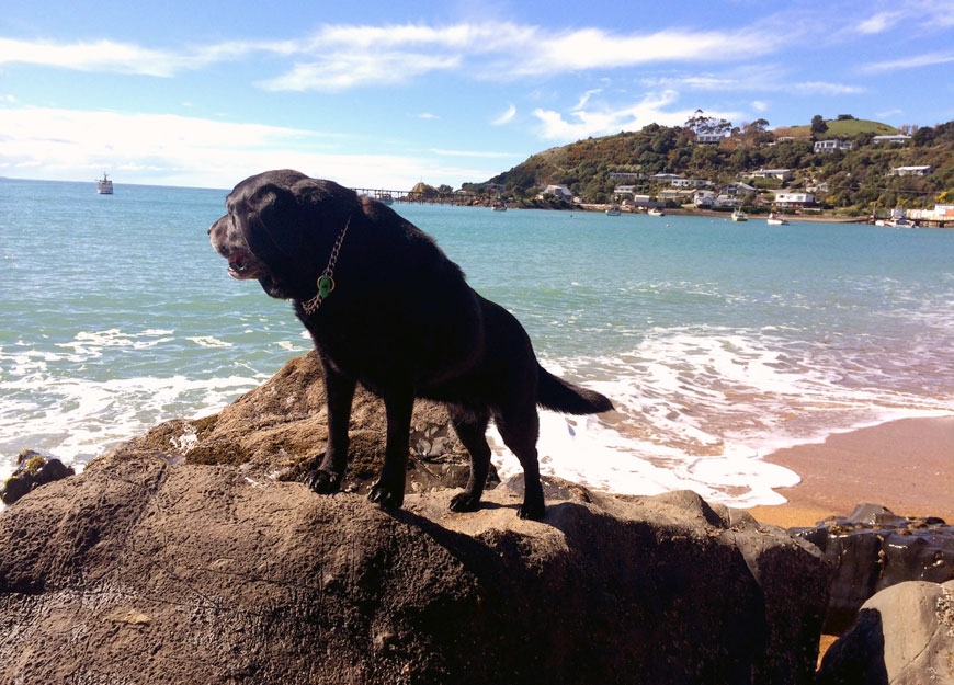 Moeraki beach