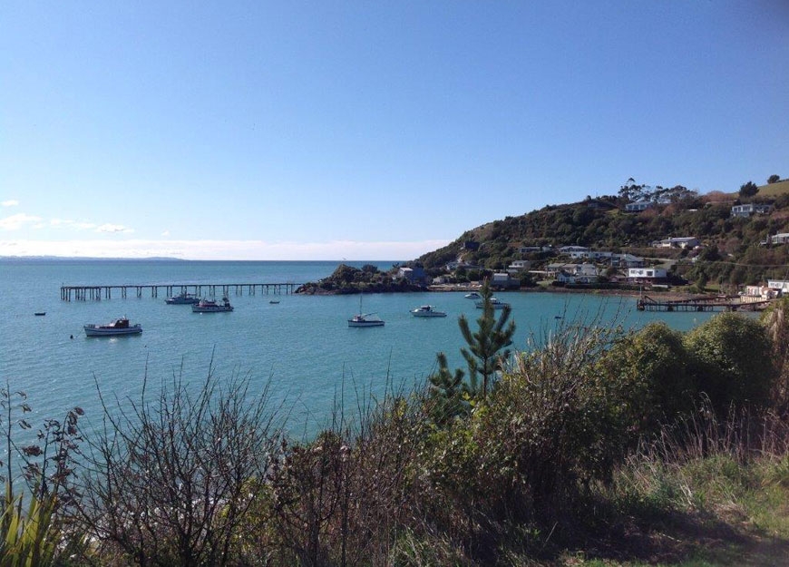 Moeraki offers many fun activities to do on the water